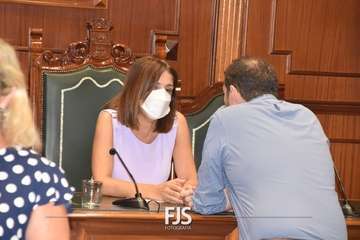 Pleno ordinario de julio de 2022/Francisco Javier Santana.